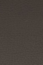 Leder Atlantic 517 cioccolato